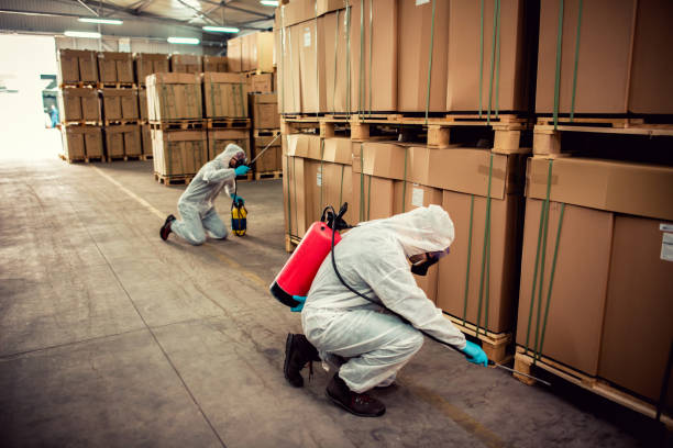 Best Pest Control Near Me  in Middletown, MD