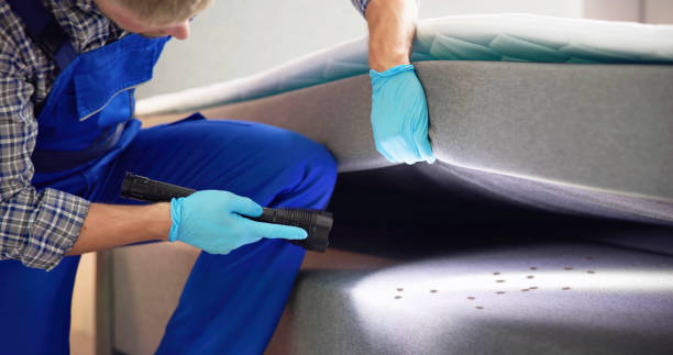 Best Flea Control Services  in Middletown, MD